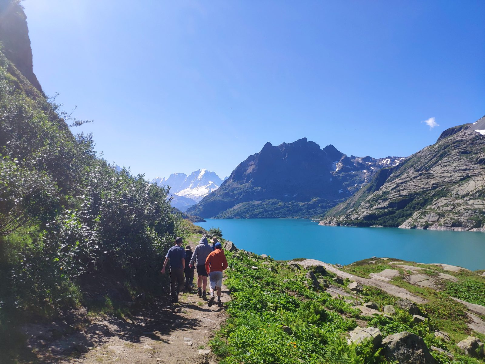 Expédition itinérante en haute montagne, sur les traces des archosaures