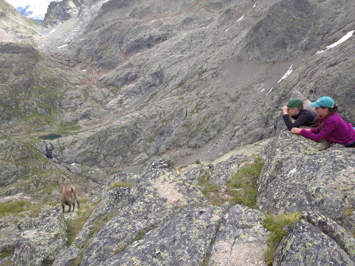 Sur les traces des Archosaures, les ancêtres des dinosaures, photo 4