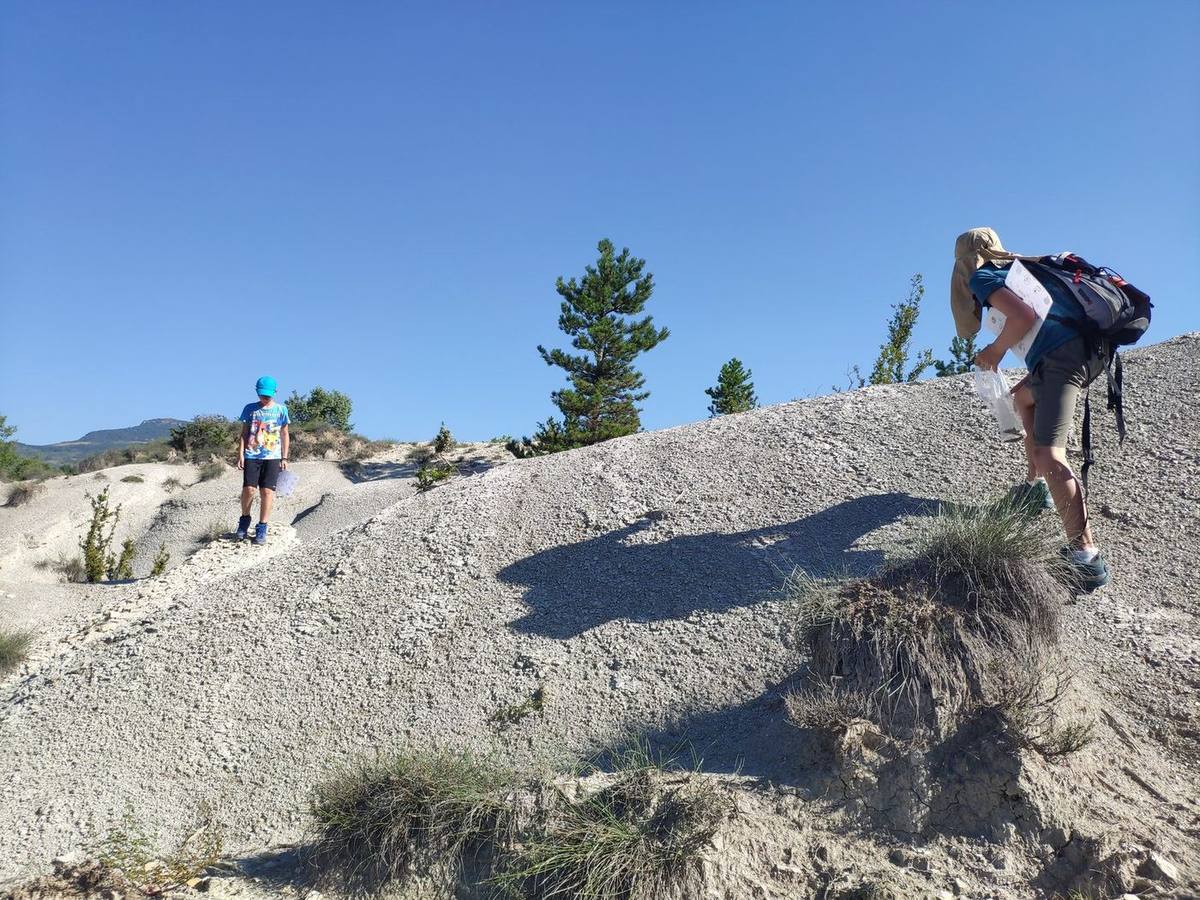 Entre fossiles et silex : À la recherche de l’histoire des Baronnies, photo 1