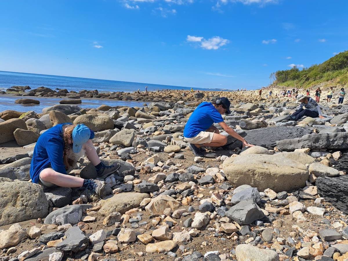 Jurassic Base Camp, sur la Jurassic Coast